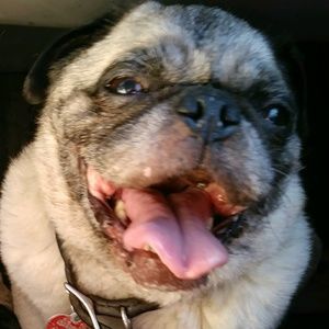 Meet your Posher, Jordan